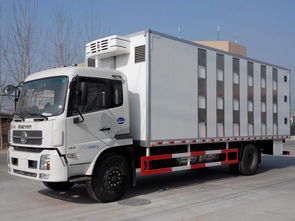 生猪调运专用车、仔猪运输车及畜禽运输车购买指南与价格分析
